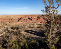 Painted Desert-Petrified Forest