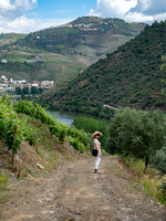 Douro Valley - Quinta da Pacheca